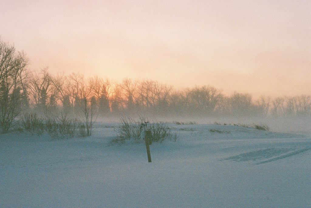 Photography Sessions