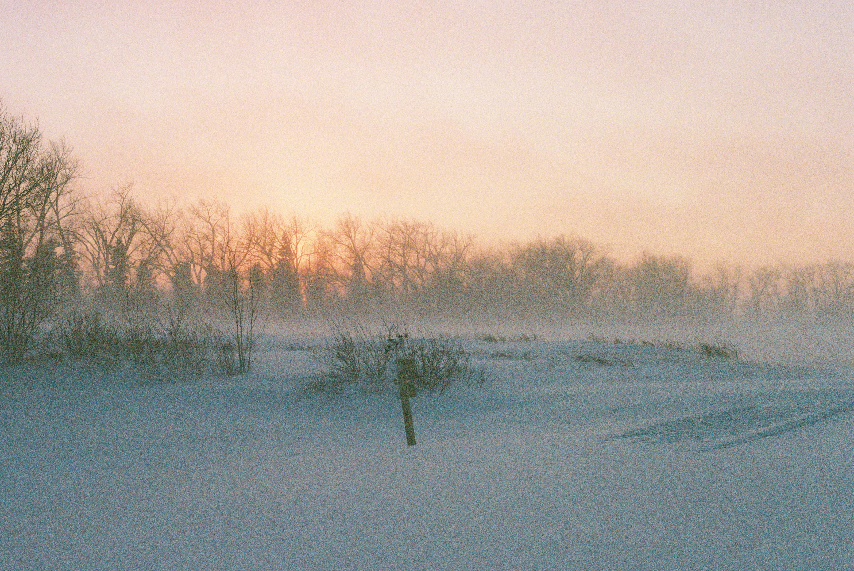 Photography Sessions