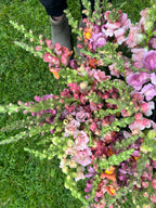 Flower Press- Preserve your own florals