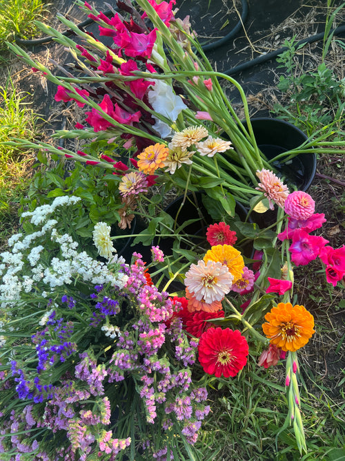 Bulk Floral Bucket