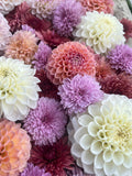 Sunset You Pick and Design- Thursday August 27