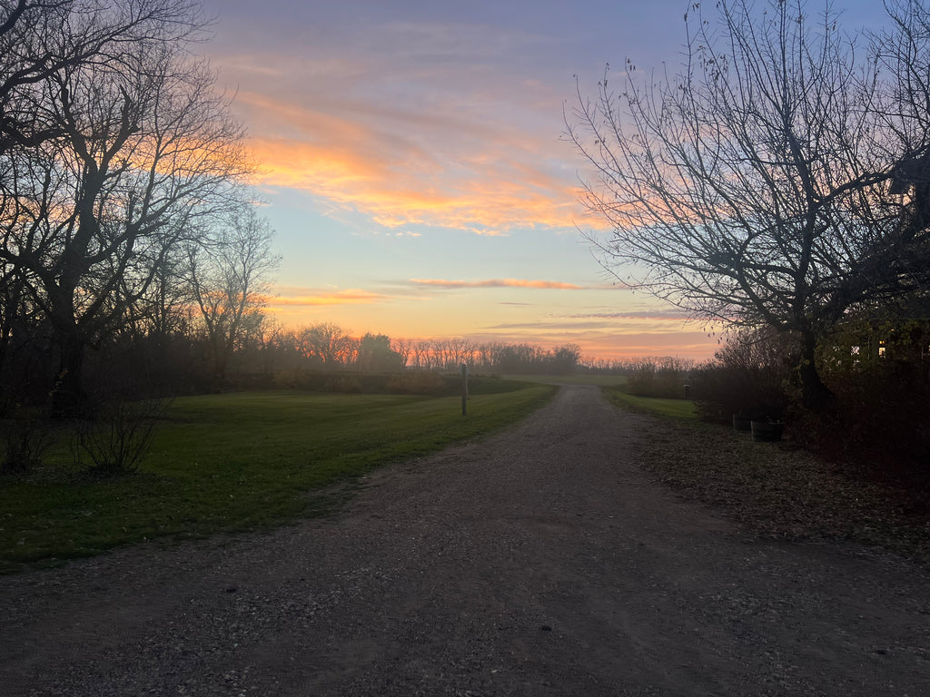 Photography Sessions